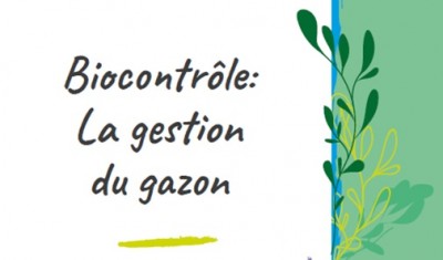 gestion du gazon